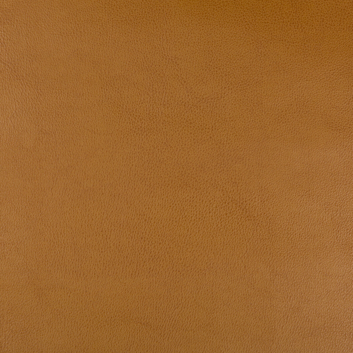 Kravet Design fabric in dust-624 color - pattern DUST.624.0 - by Kravet Design