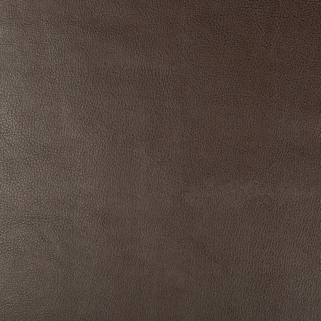 Kravet Design fabric in dust-66 color - pattern DUST.66.0 - by Kravet Design