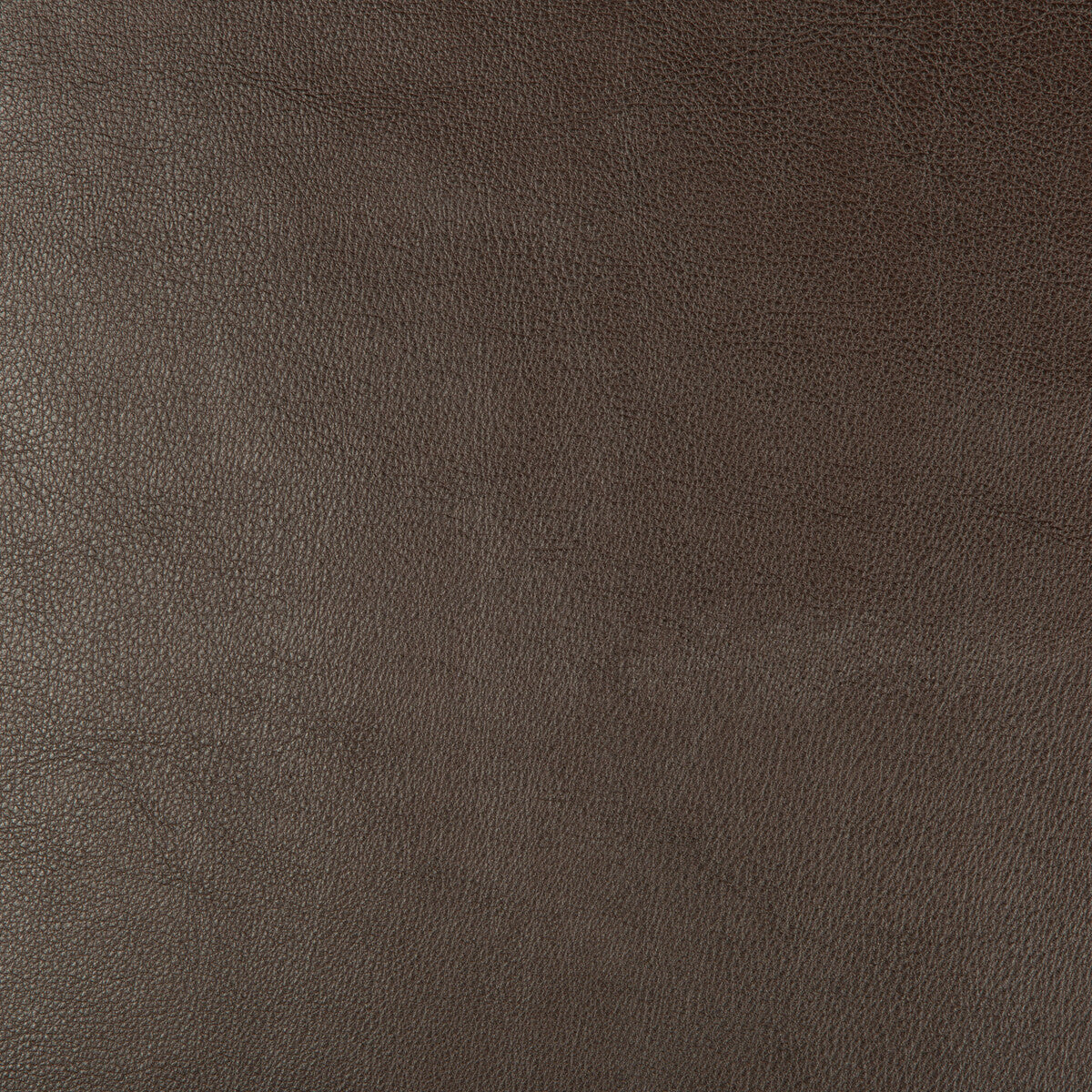 Kravet Design fabric in dust-66 color - pattern DUST.66.0 - by Kravet Design