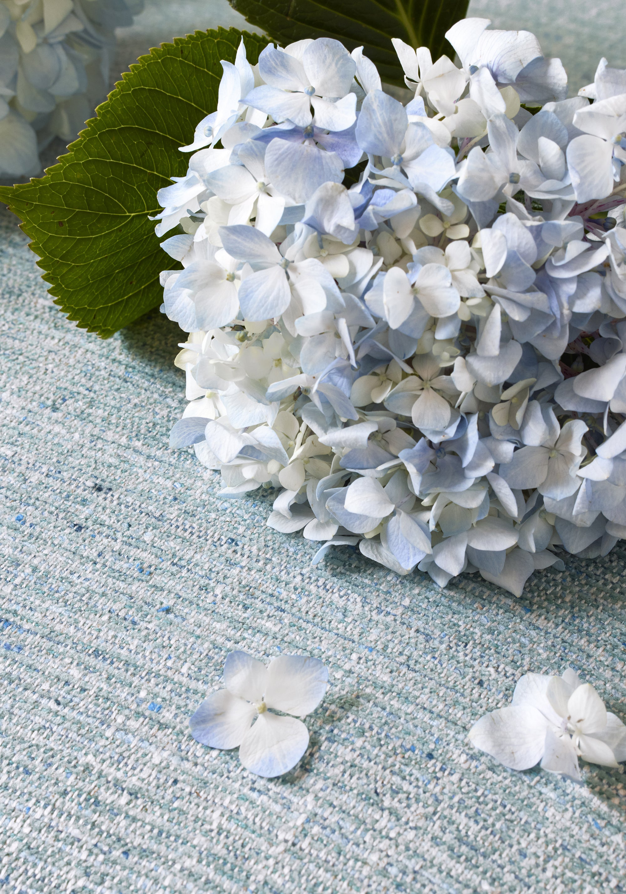 Flowers laying on Elgin stain resistant fabric in seaglass color - pattern number W80939 - by Thibaut fabrics