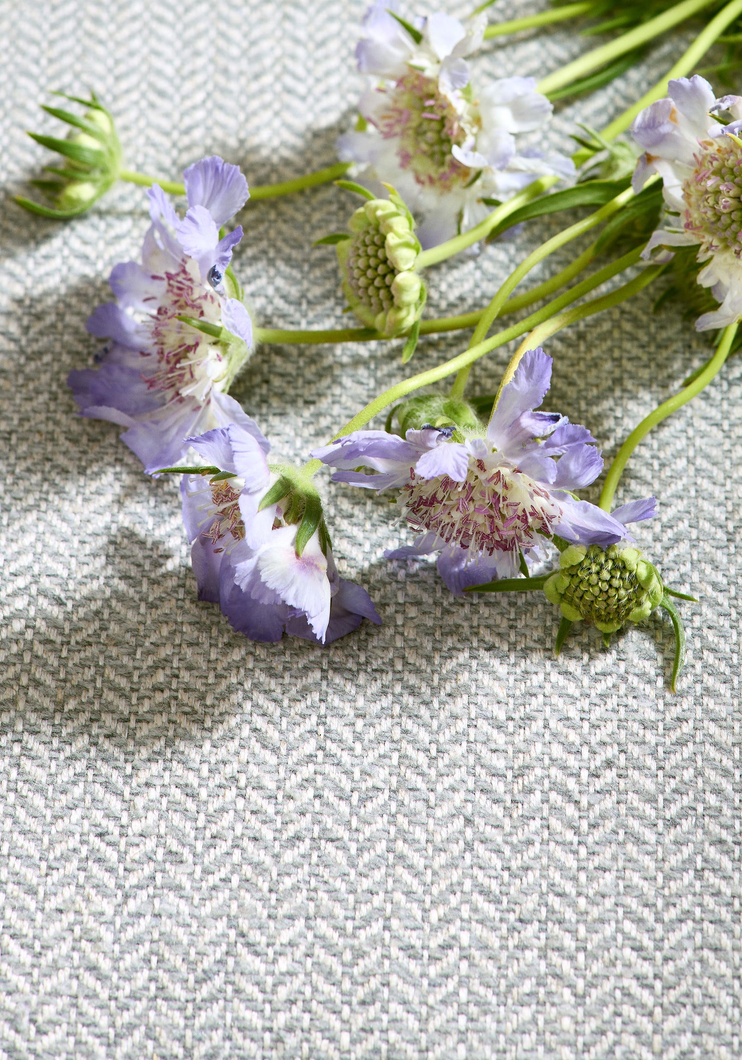 Flowers laying on heath stain resistant fabric in smoke color - pattern number W80930 - by Thibaut fabrics