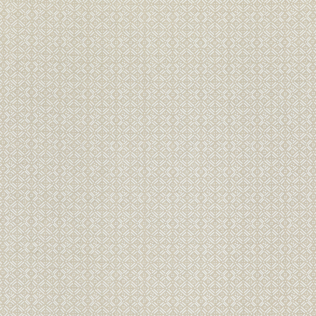 Aslin fabric in ivory color - pattern ED75036.1.0 - by Threads in the Moro collection