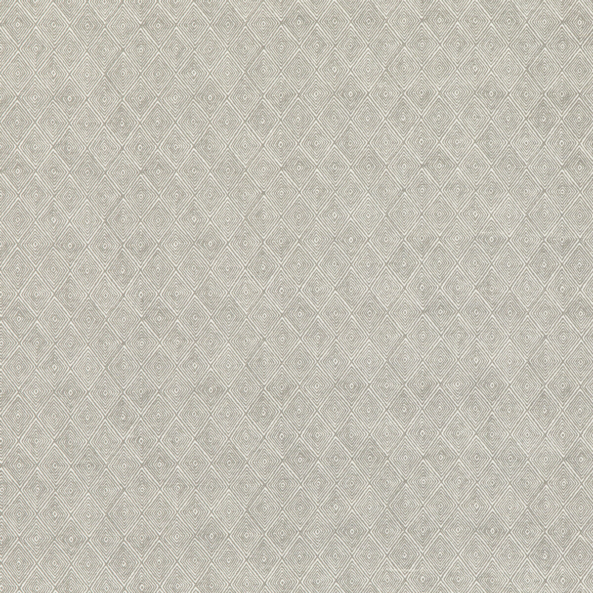 Boundary fabric in dove color - pattern ED75042.3.0 - by Threads in the Nala Prints collection