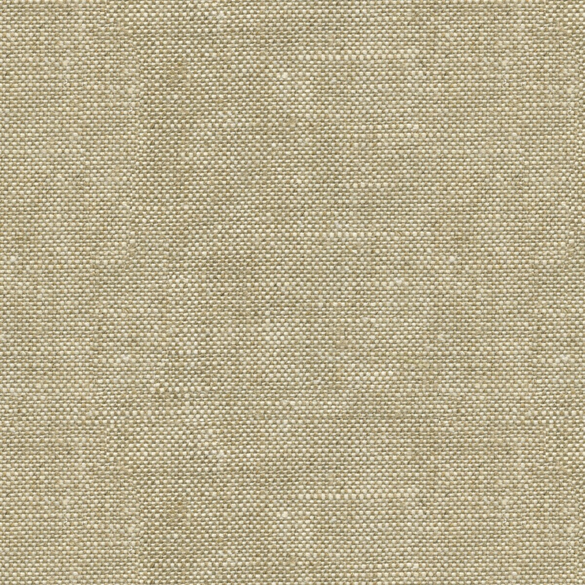 Newport fabric in buff color - pattern ED85116.118.0 - by Threads in the Threads Spring collection