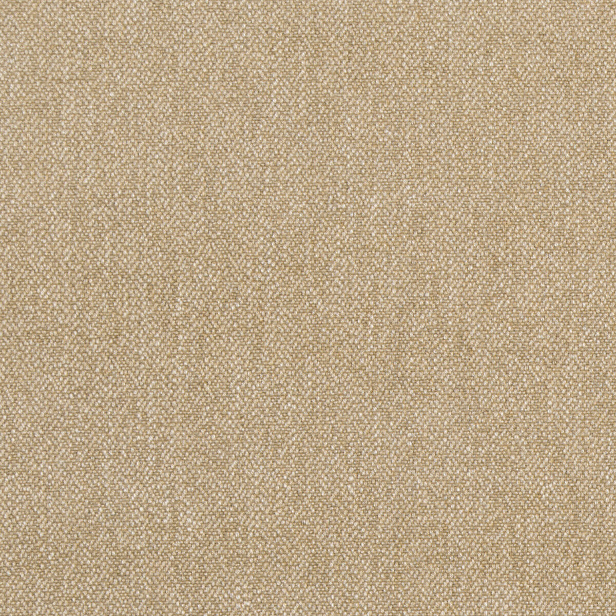 Verdure fabric in biscuit color - pattern ED85175.235.0 - by Threads in the Threads Colour Library collection