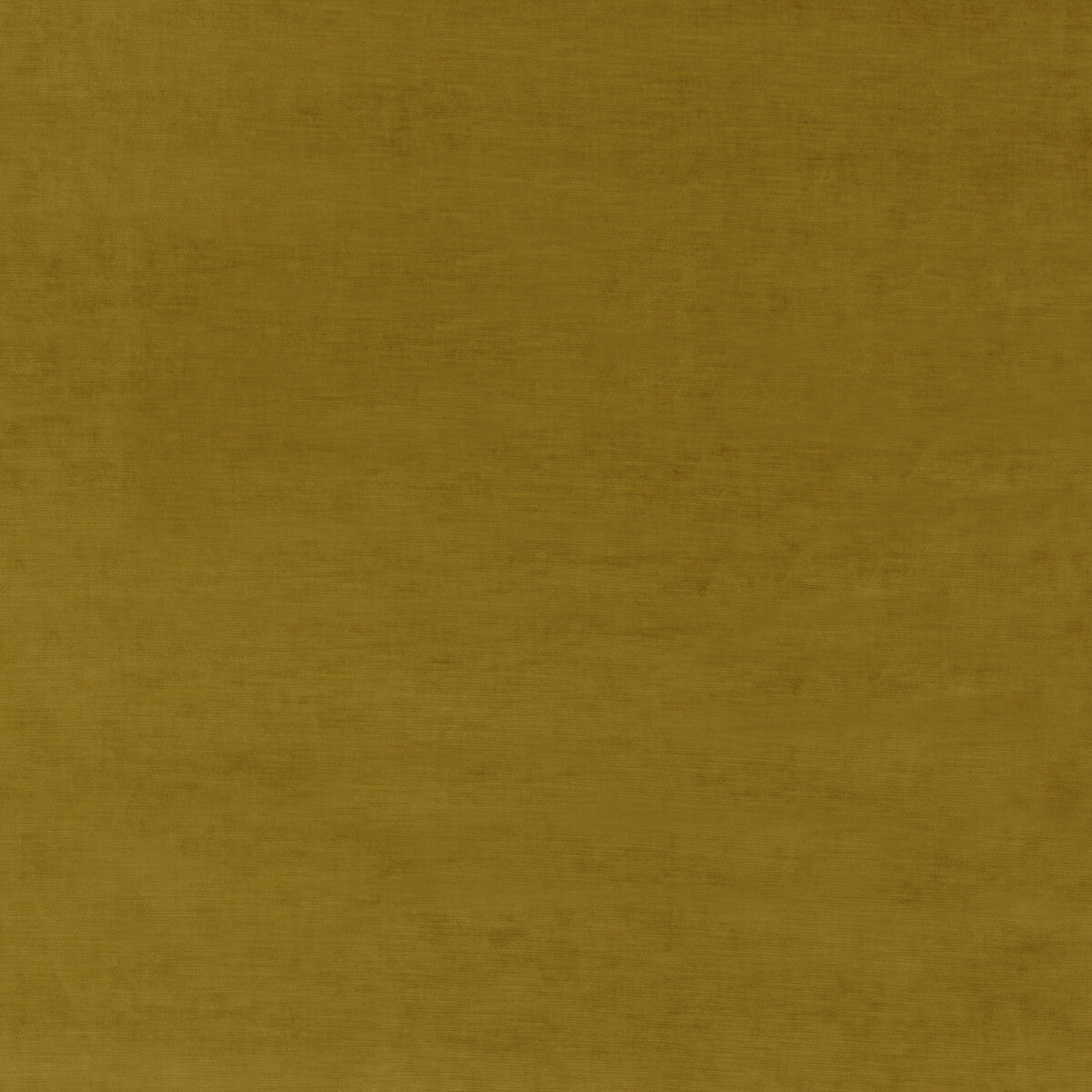 Meridian Velvet fabric in mustard color - pattern ED85292.825.0 - by Threads in the Meridian collection