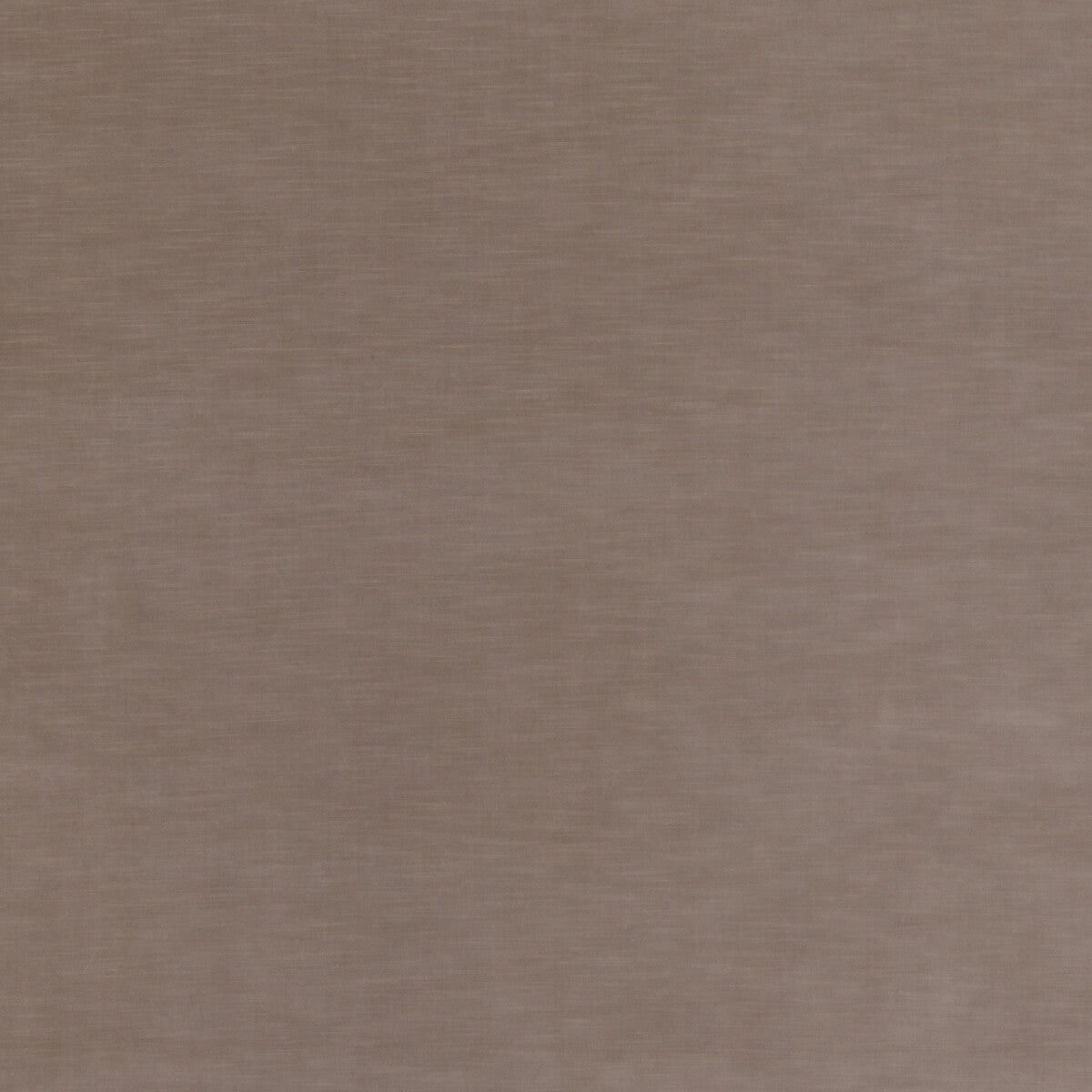 Quintessential Velvet fabric in mole color - pattern ED85359.240.0 - by Threads in the Quintessential Velvet collection