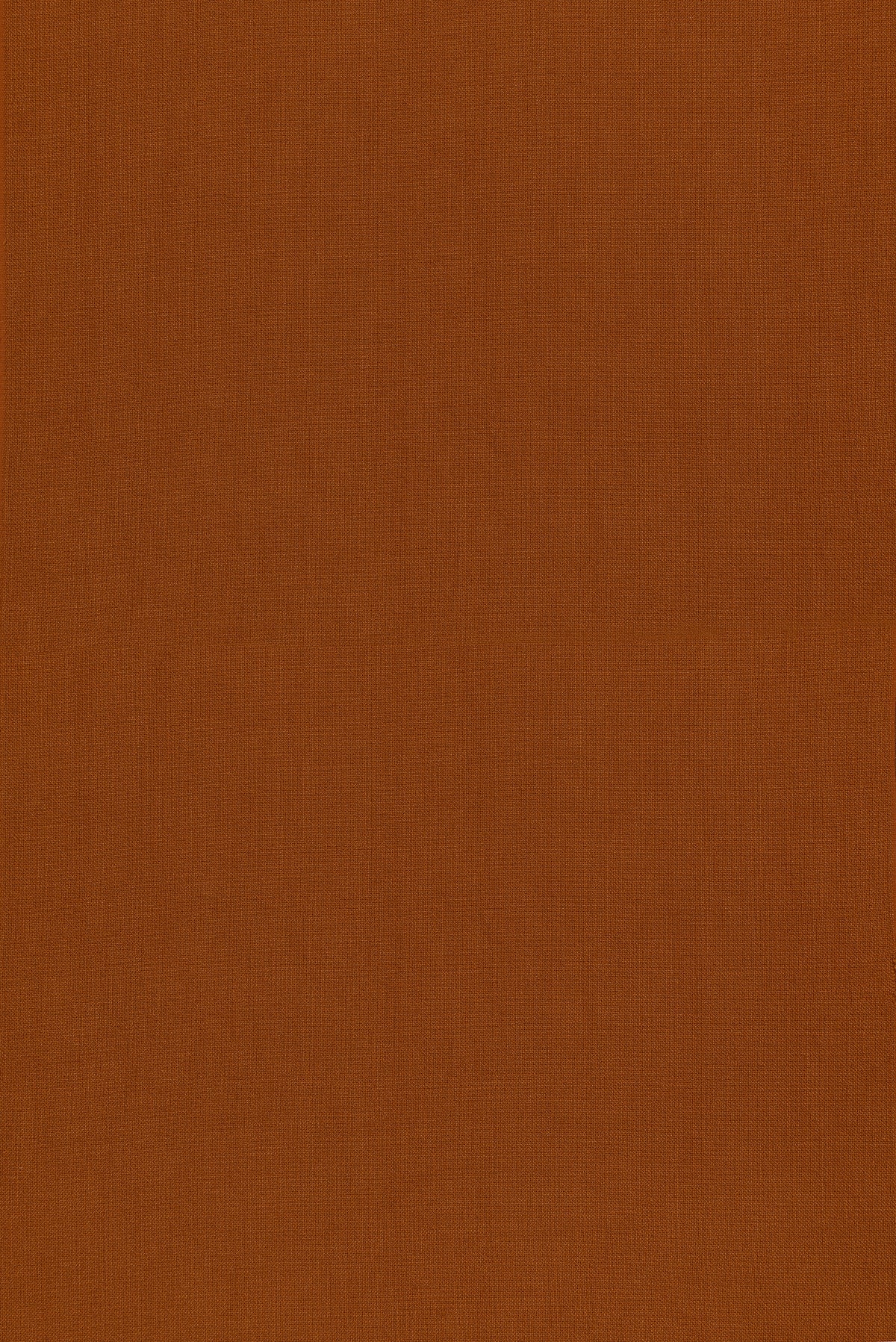 Azure fabric in Earth color - pattern number ED85429.344.0 - by Threads in the Winch Indoor Outdoor collection