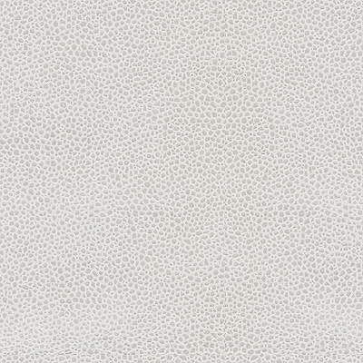 Edgy Shark fabric in platinum color - pattern EDGY SHARK.11.0 - by Kravet Couture