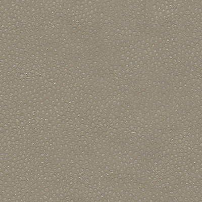 Edgy Shark fabric in nickel color - pattern EDGY SHARK.21.0 - by Kravet Couture