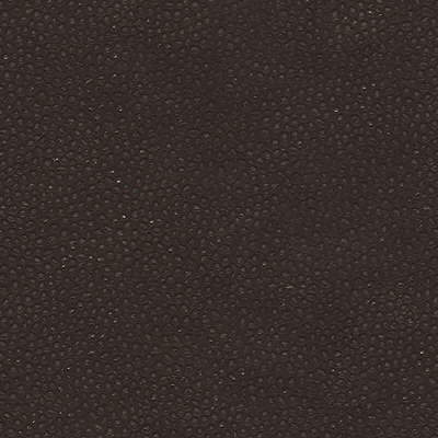 Edgy Shark fabric in espresso color - pattern EDGY SHARK.6.0 - by Kravet Couture
