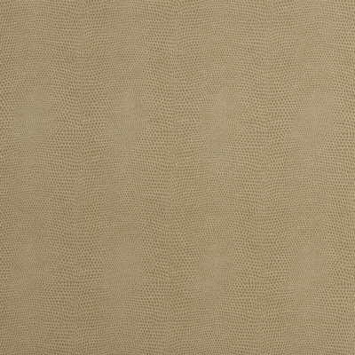 Epitome fabric in putty color - pattern EPITOME.16.0 - by Kravet Couture