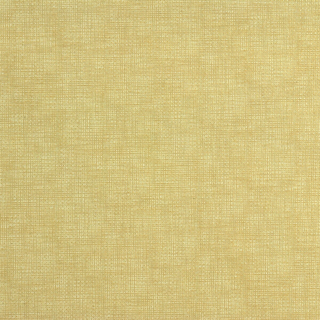 Etching fabric in creme color - pattern ETCHING.111.0 - by Kravet Couture