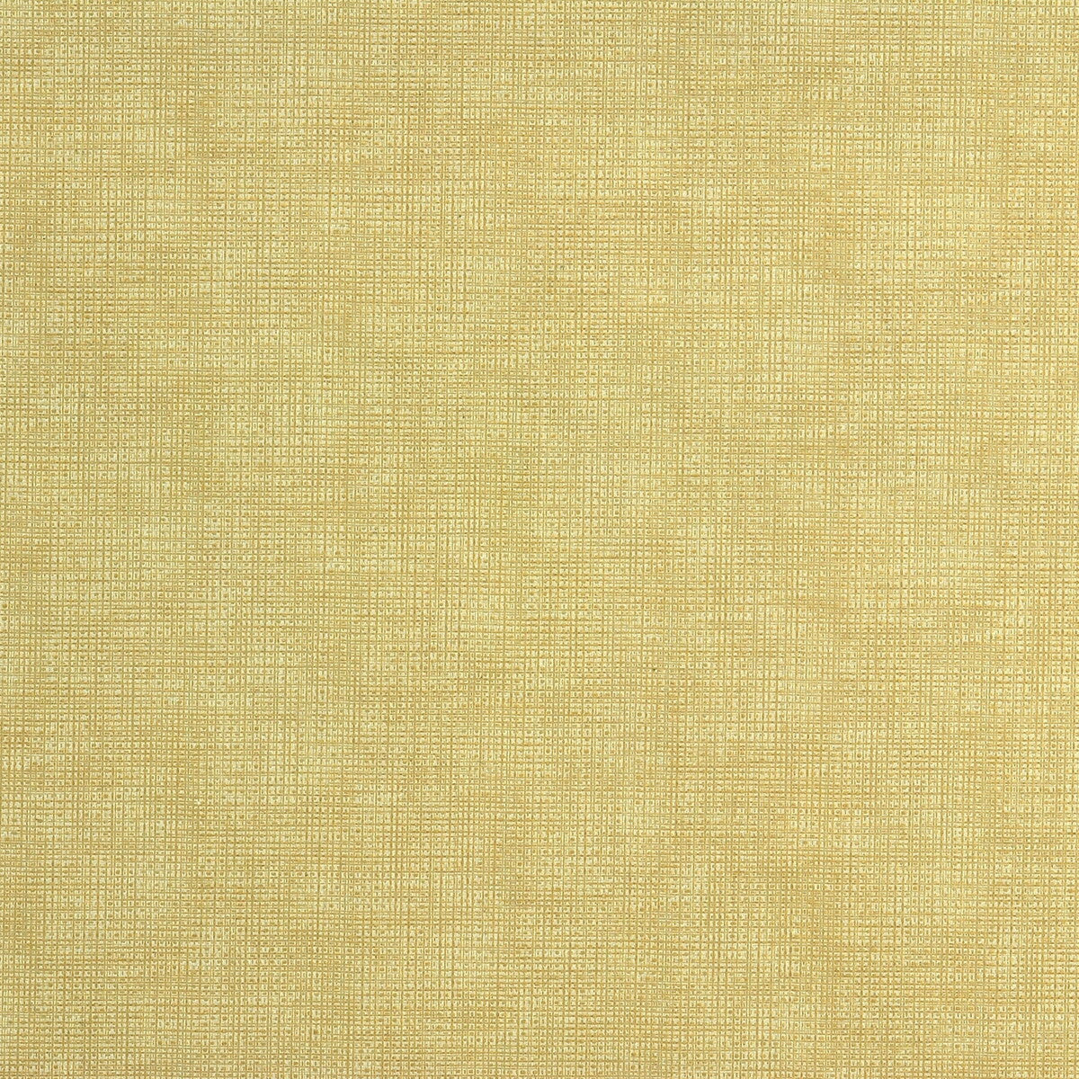Etching fabric in creme color - pattern ETCHING.111.0 - by Kravet Couture