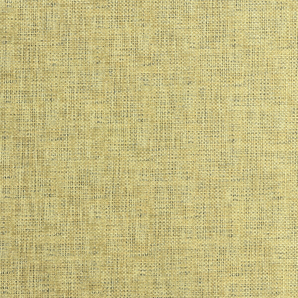 Etching fabric in gold color - pattern ETCHING.404.0 - by Kravet Couture