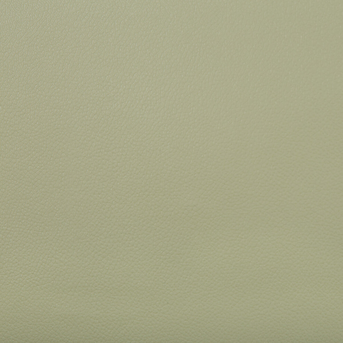 Extreme fabric in olive color - pattern EXTREME.130.0 - by Kravet Contract in the Faux Leather Extreme Performance collection