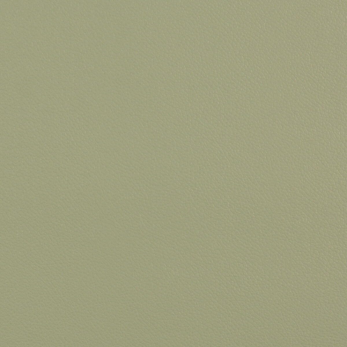 Extreme fabric in sage color - pattern EXTREME.30.0 - by Kravet Contract in the Faux Leather Extreme Performance collection