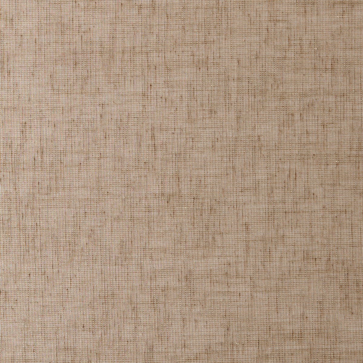 Diva fabric in mocha color - pattern F0414/04.CAC.0 - by Clarke And Clarke in the Clarke &amp; Clarke Natura Sheers collection