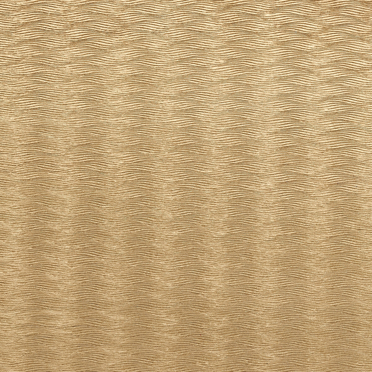 Tempo fabric in antique color - pattern F0467/01.CAC.0 - by Clarke And Clarke in the Clarke &amp; Clarke Tempo Velvets collection
