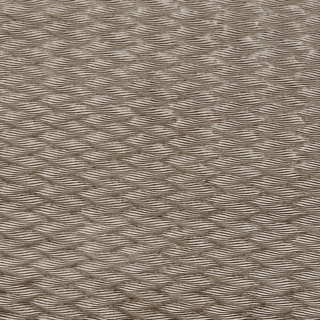 Tempo fabric in ash color - pattern F0467/02.CAC.0 - by Clarke And Clarke in the Clarke &amp; Clarke Tempo Velvets collection
