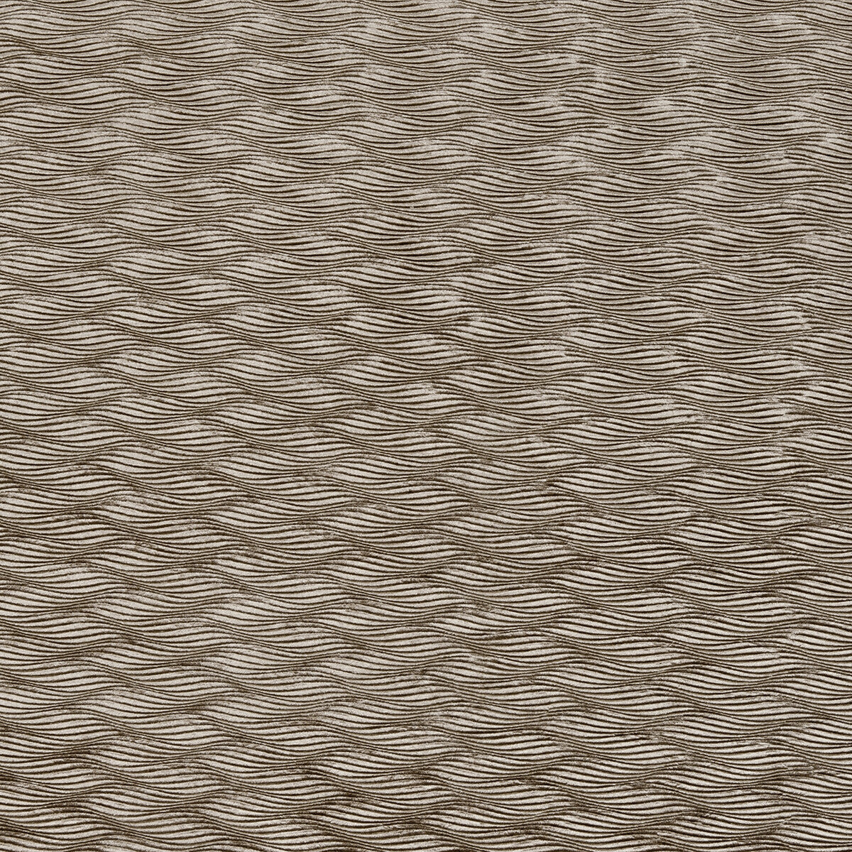 Tempo fabric in ash color - pattern F0467/02.CAC.0 - by Clarke And Clarke in the Clarke &amp; Clarke Tempo Velvets collection