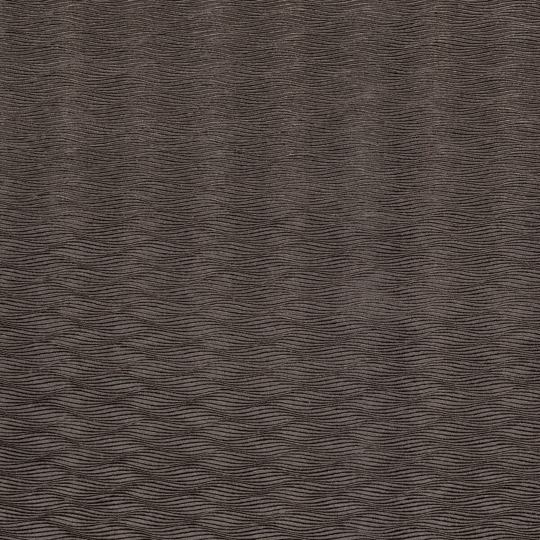 Tempo fabric in charcoal color - pattern F0467/03.CAC.0 - by Clarke And Clarke in the Clarke &amp; Clarke Tempo Velvets collection