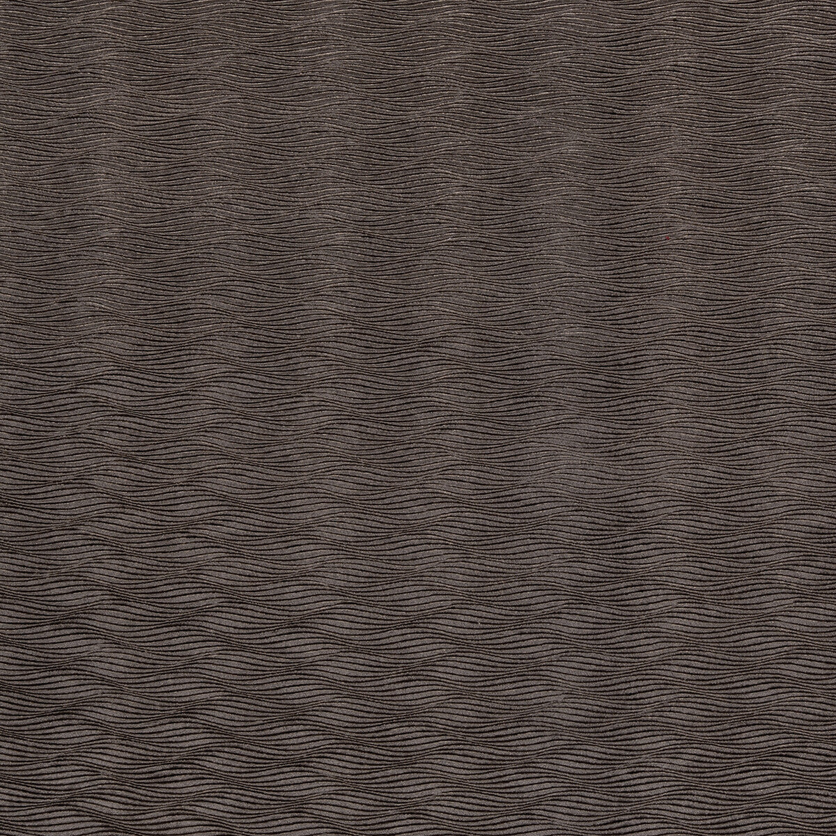 Tempo fabric in charcoal color - pattern F0467/03.CAC.0 - by Clarke And Clarke in the Clarke &amp; Clarke Tempo Velvets collection
