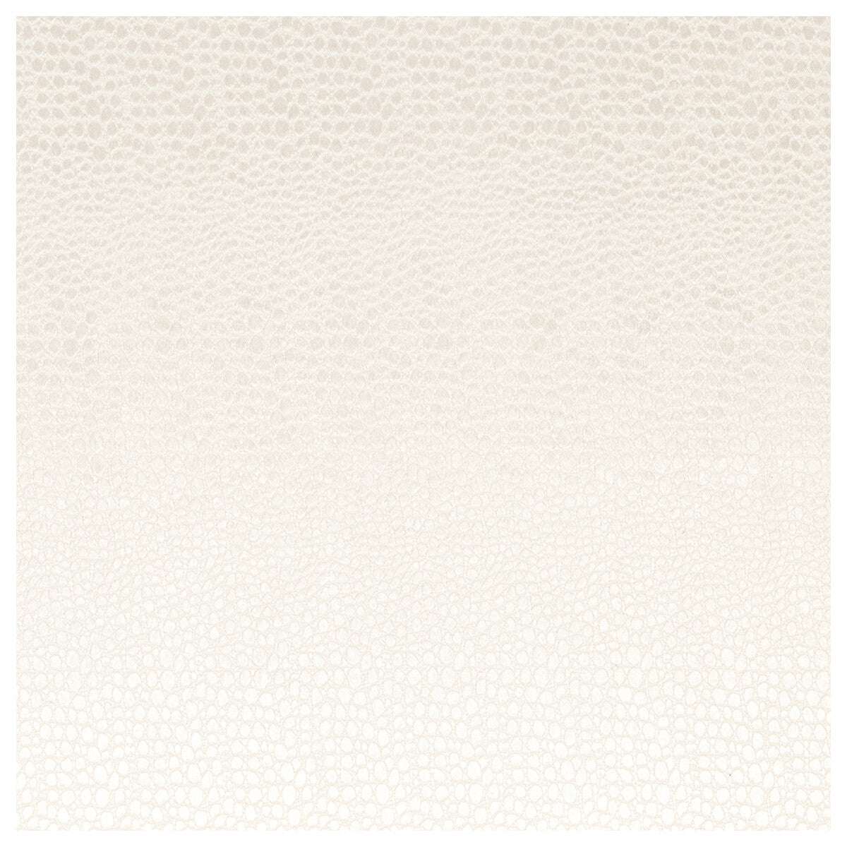 Pulse fabric in pearl color - pattern F0469/11.CAC.0 - by Clarke And Clarke in the Clarke &amp; Clarke Tempo Velvets collection
