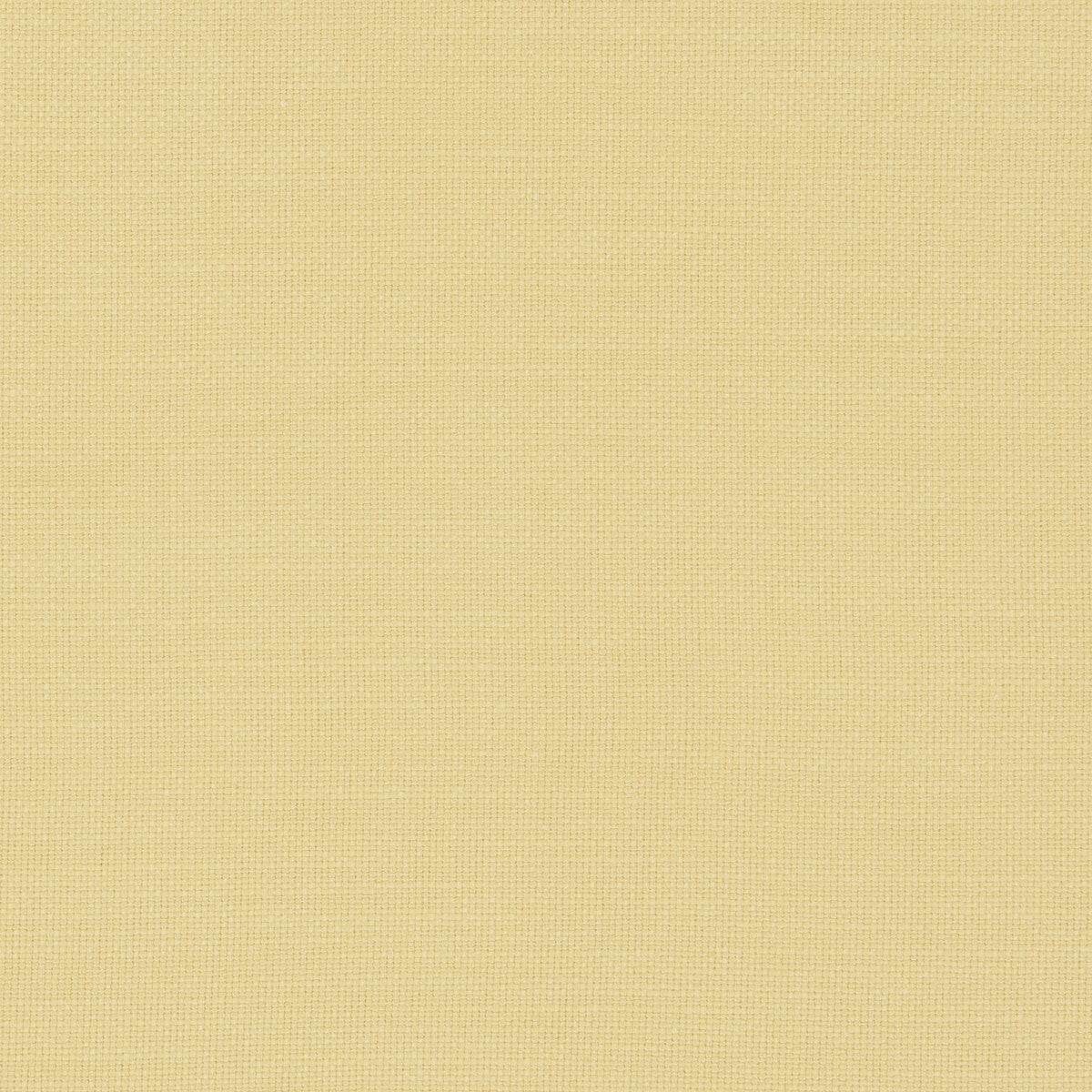 Nantucket fabric in corn color - pattern F0594/12.CAC.0 - by Clarke And Clarke in the Clarke &amp; Clarke Nantucket collection