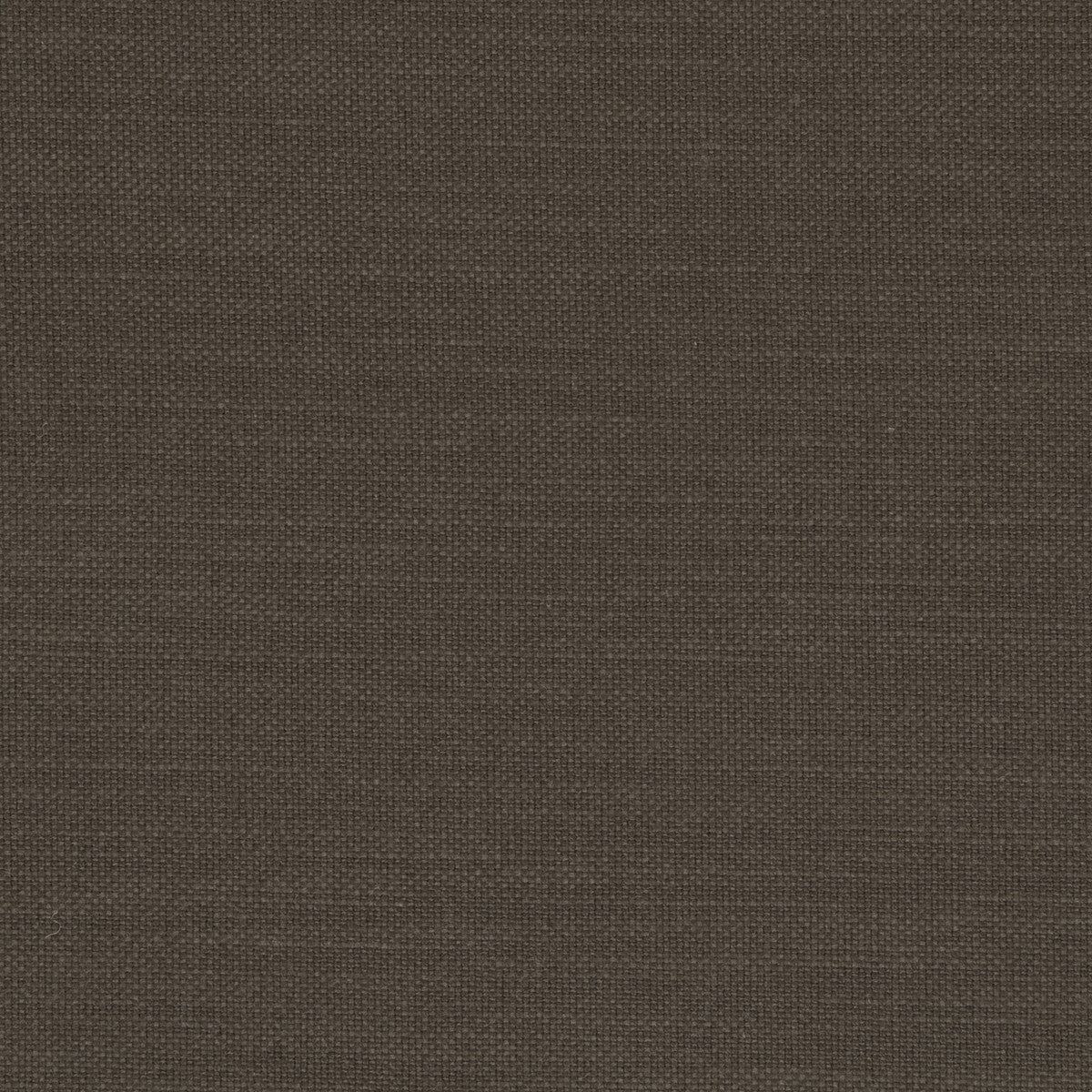 Nantucket fabric in espresso color - pattern F0594/18.CAC.0 - by Clarke And Clarke in the Clarke &amp; Clarke Nantucket collection
