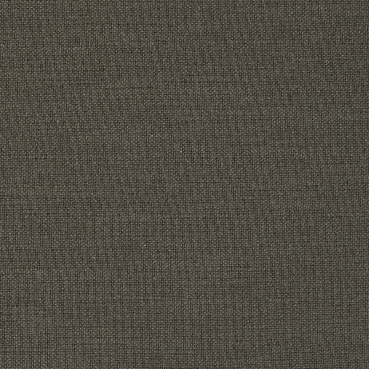 Nantucket fabric in gunmetal color - pattern F0594/23.CAC.0 - by Clarke And Clarke in the Clarke &amp; Clarke Nantucket collection