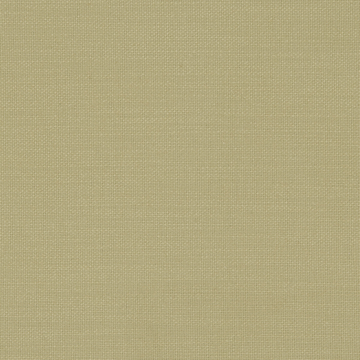 Nantucket fabric in hemp color - pattern F0594/25.CAC.0 - by Clarke And Clarke in the Clarke &amp; Clarke Nantucket collection