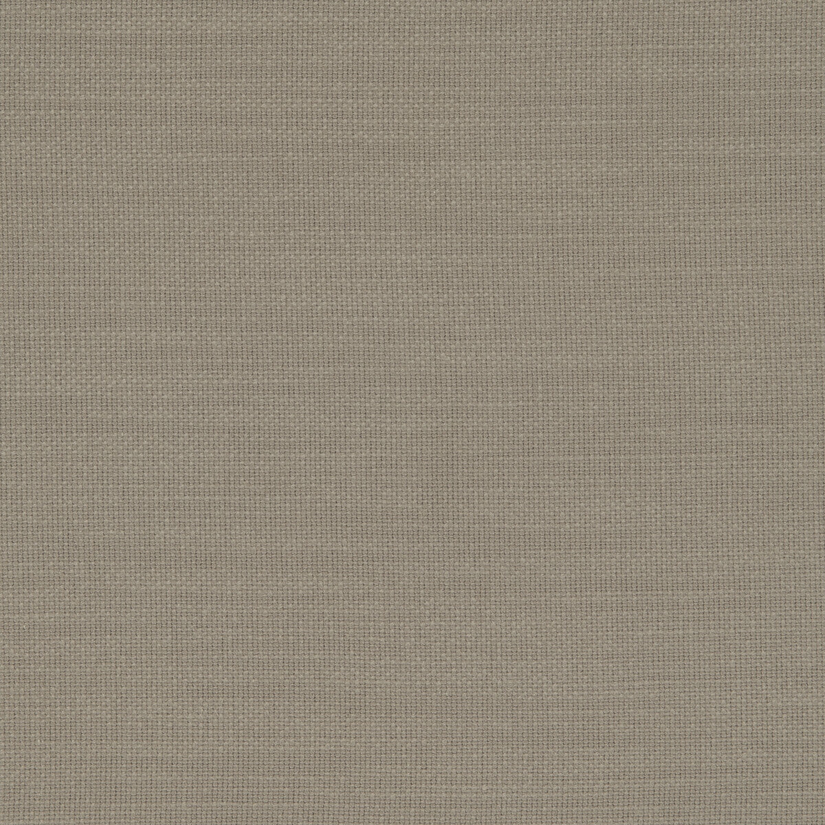 Nantucket fabric in taupe color - pattern F0594/54.CAC.0 - by Clarke And Clarke in the Clarke &amp; Clarke Nantucket collection