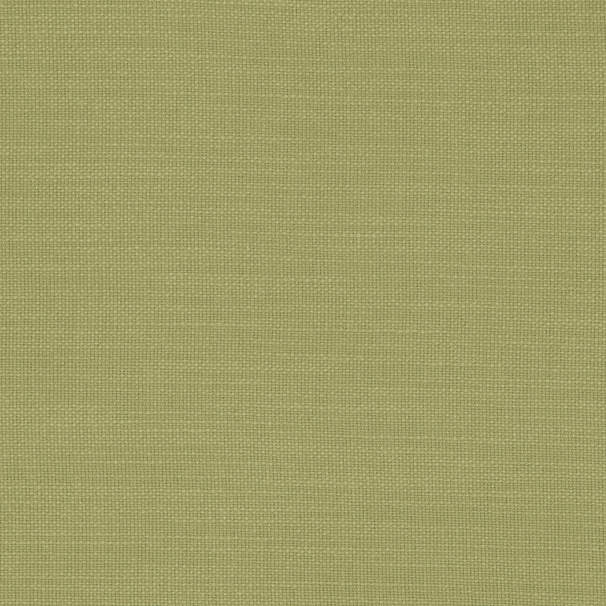 Nantucket fabric in willow color - pattern F0594/56.CAC.0 - by Clarke And Clarke in the Clarke &amp; Clarke Nantucket collection