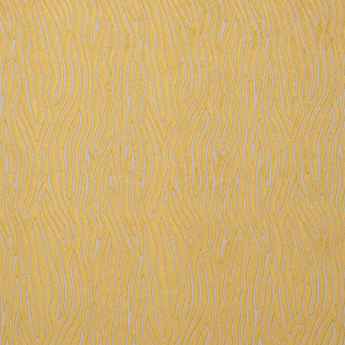Onda fabric in gold color - pattern F0749/07.CAC.0 - by Clarke And Clarke in the Clarke &amp; Clarke Dimensions collection