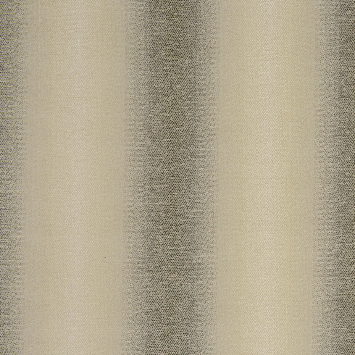Antico fabric in charcoal color - pattern F0789/03.CAC.0 - by Clarke And Clarke in the Clarke &amp; Clarke Palladio collection