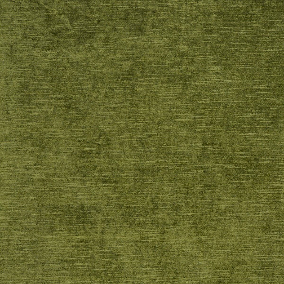 Carlo fabric in olive color - pattern F0793/05.CAC.0 - by Clarke And Clarke in the Clarke &amp; Clarke Palladio collection