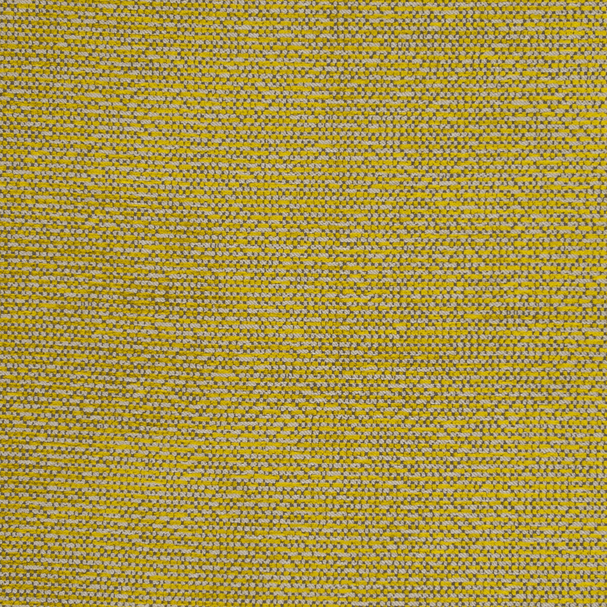 Beauvoir fabric in citrus color - pattern F0804/02.CAC.0 - by Clarke And Clarke in the Clarke &amp; Clarke Latour collection