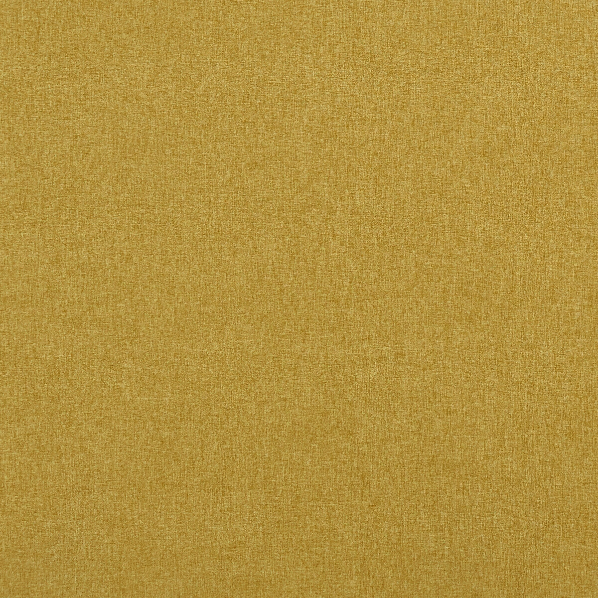 Highlander fabric in gold color - pattern F0848/15.CAC.0 - by Clarke And Clarke in the Clarke &amp; Clarke Highlander collection