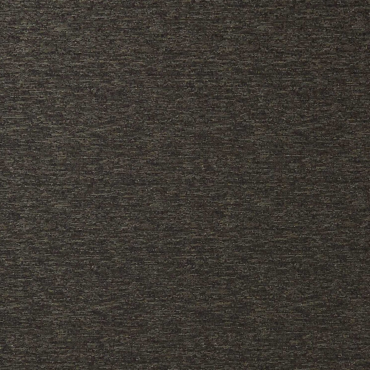 Lucania fabric in ebony color - pattern F0869/03.CAC.0 - by Clarke And Clarke in the Clarke &amp; Clarke Imperiale collection