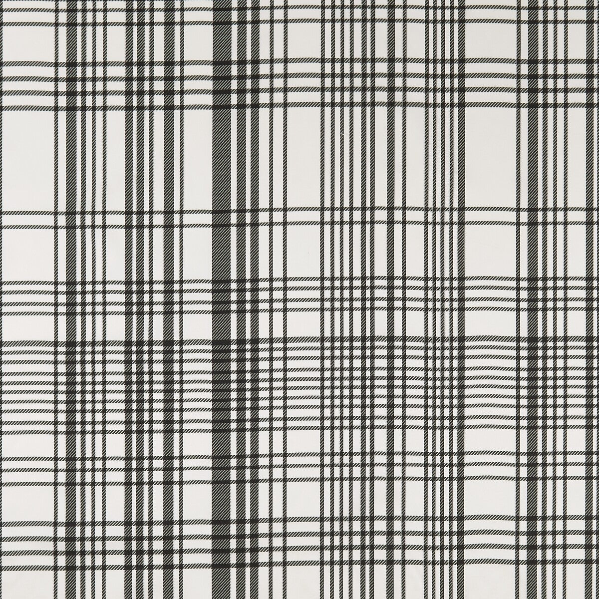 Bw1006 fabric in black/white color - pattern F0878/01.CAC.0 - by Clarke And Clarke in the Clarke &amp; Clarke Black + White collection
