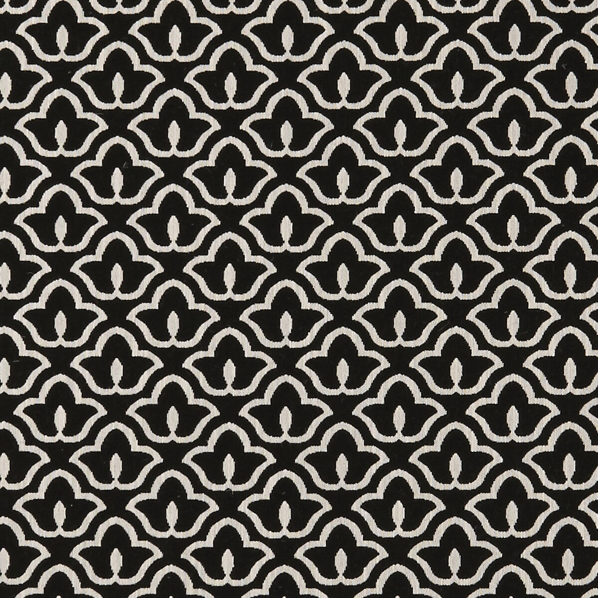 Bw1014 fabric in black/white color - pattern F0887/01.CAC.0 - by Clarke And Clarke in the Clarke &amp; Clarke Black + White collection
