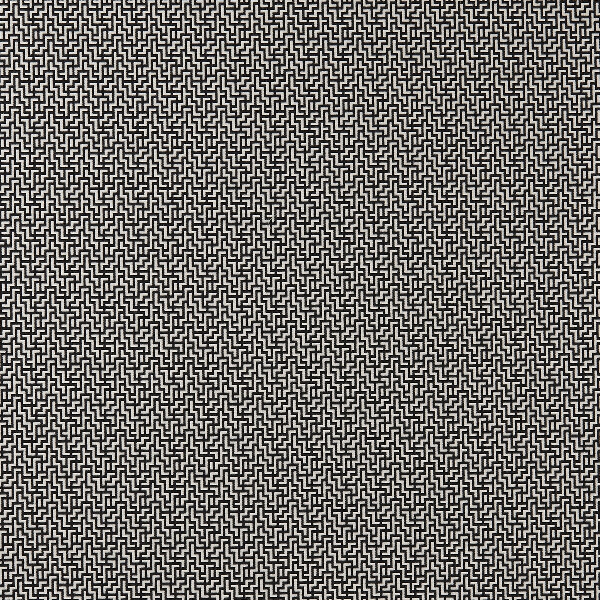 Bw1030 fabric in black/white color - pattern F0903/01.CAC.0 - by Clarke And Clarke in the Clarke &amp; Clarke Black + White collection