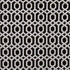 Bw1042 fabric in black/white color - pattern F0944/01.CAC.0 - by Clarke And Clarke in the Clarke & Clarke Black + White collection