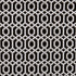 Bw1042 fabric in black/white color - pattern F0944/01.CAC.0 - by Clarke And Clarke in the Clarke & Clarke Black + White collection