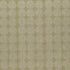 Kiko fabric in willow color - pattern F0956/07.CAC.0 - by Clarke And Clarke in the Clarke & Clarke Amara collection