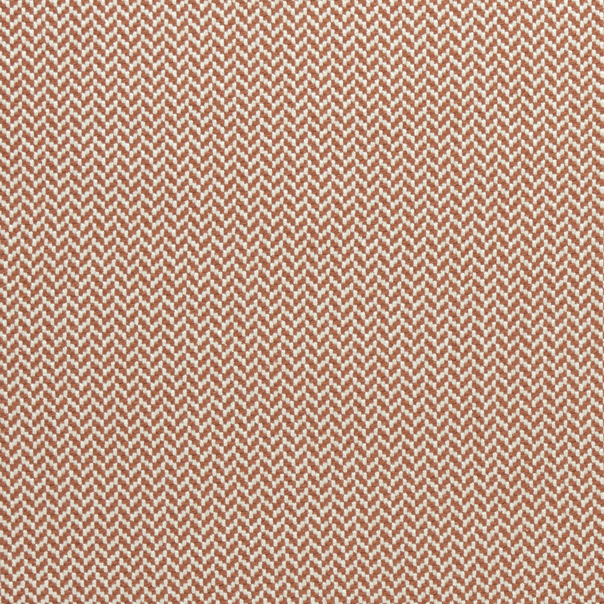 Zalika fabric in cinnabar color - pattern F0963/02.CAC.0 - by Clarke And Clarke in the Clarke &amp; Clarke Amara collection