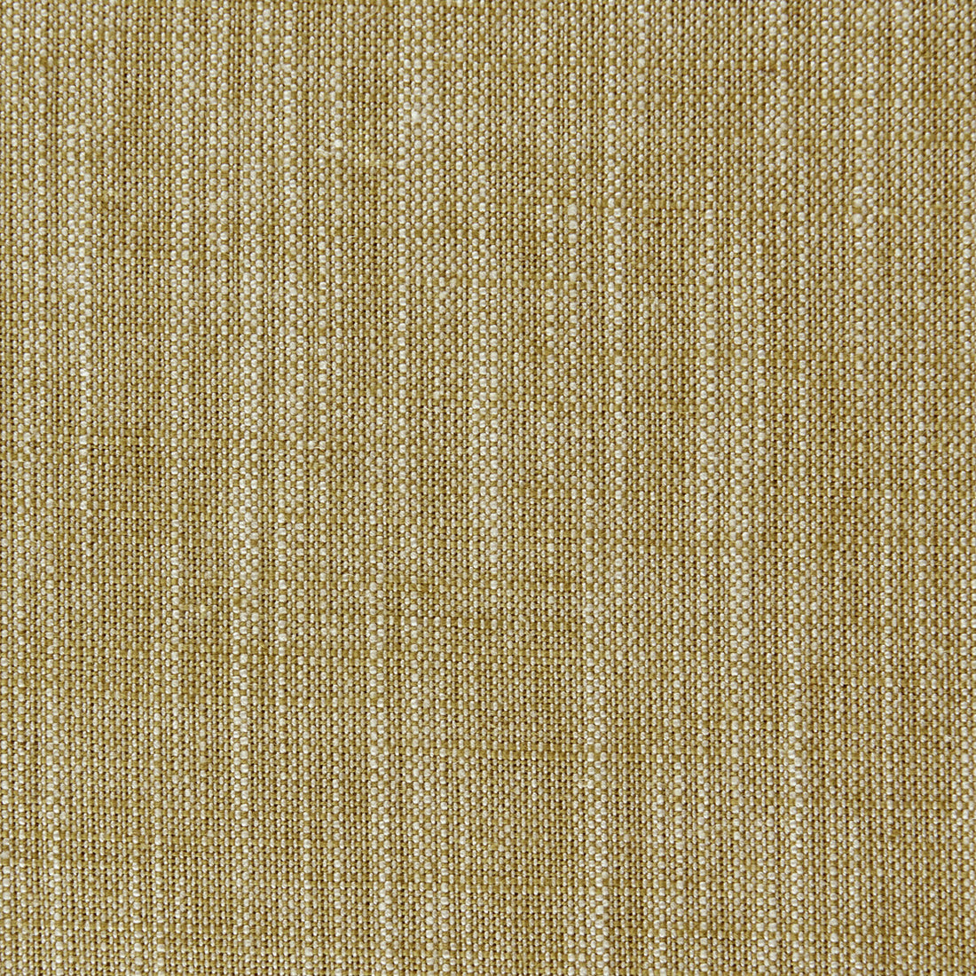 Biarritz fabric in antique color - pattern F0965/02.CAC.0 - by Clarke And Clarke in the Clarke &amp; Clarke Biarritz collection