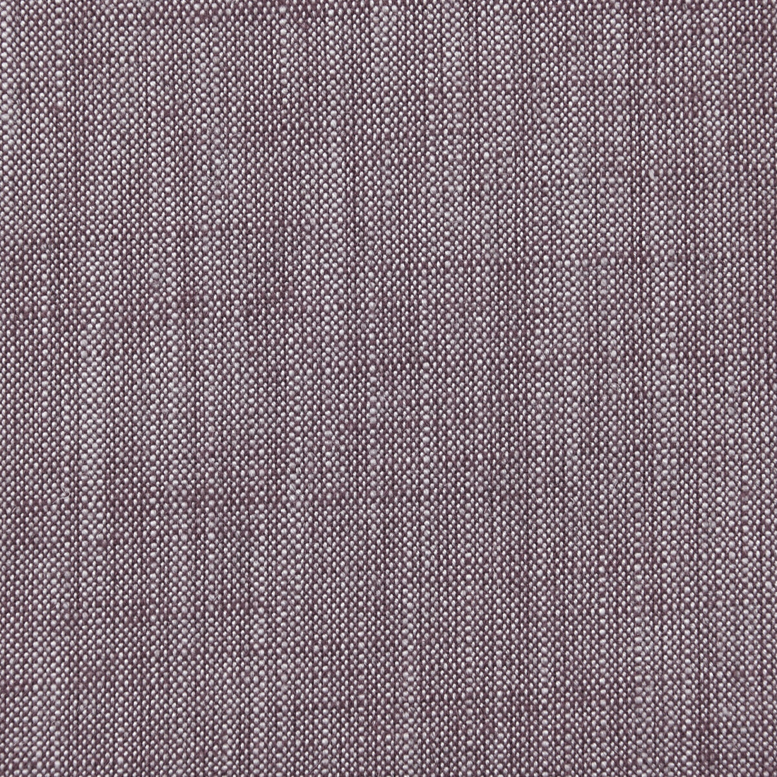 Biarritz fabric in aubergine color - pattern F0965/03.CAC.0 - by Clarke And Clarke in the Clarke &amp; Clarke Biarritz collection