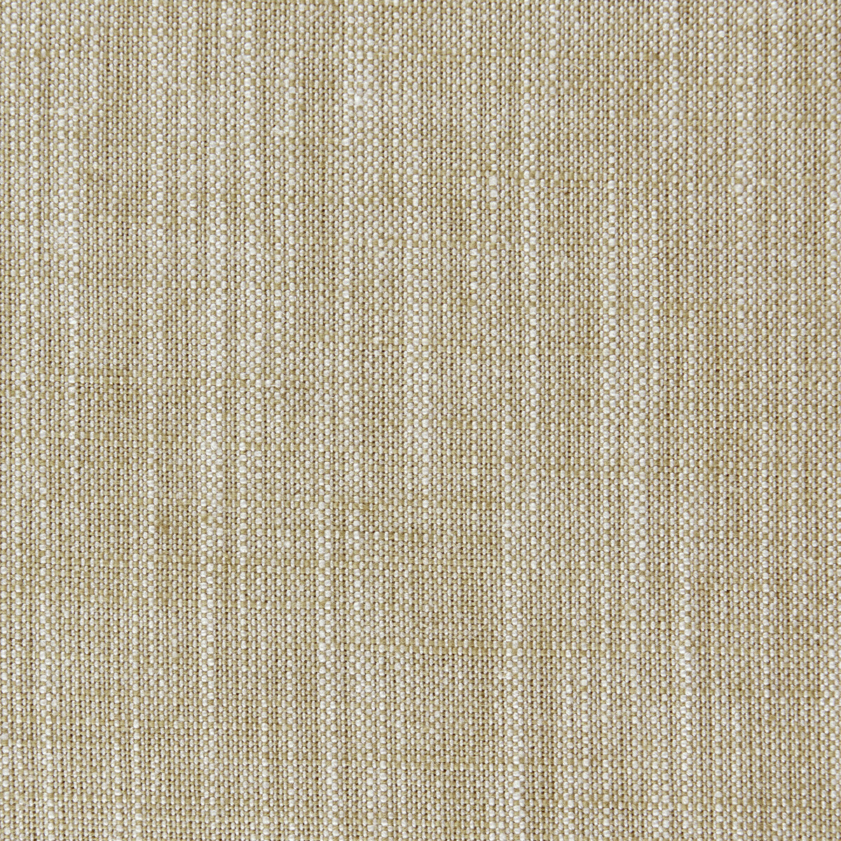 Biarritz fabric in bamboo color - pattern F0965/04.CAC.0 - by Clarke And Clarke in the Clarke &amp; Clarke Biarritz collection